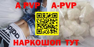 гашик Нальчик