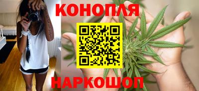 гашик Нальчик