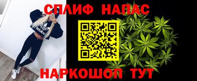 гашик Нальчик