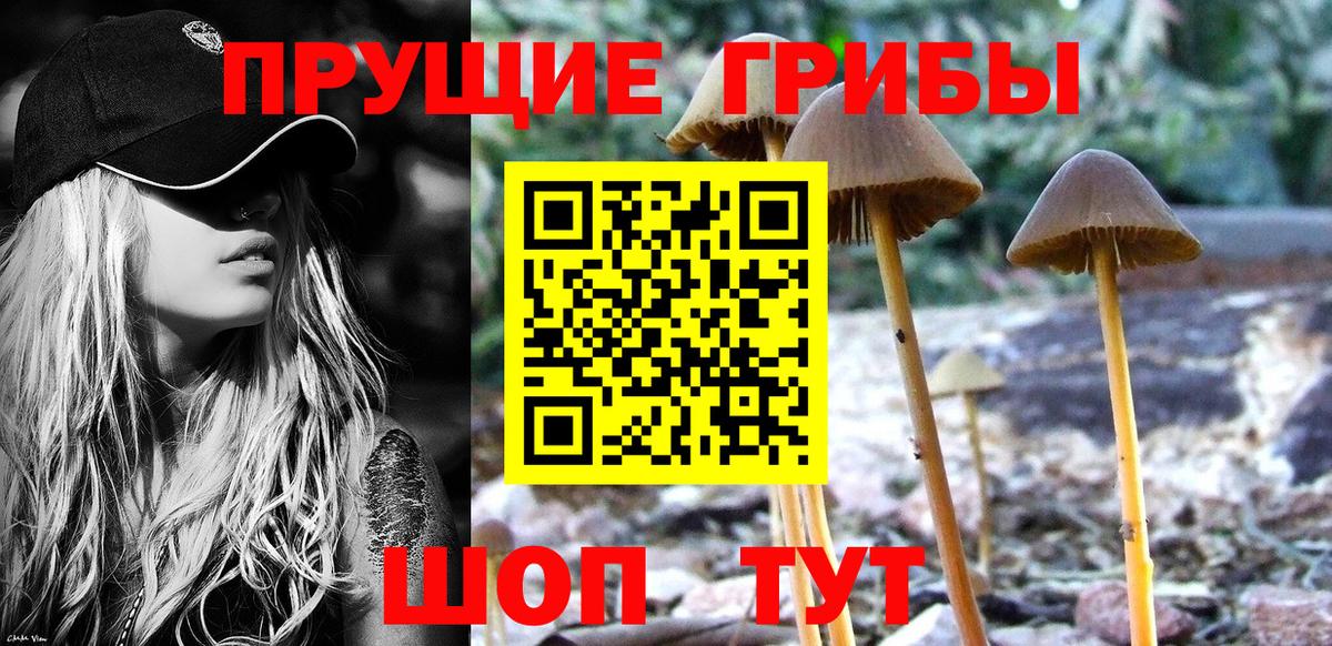 Псилоцибиновые грибы Magic Shrooms Заречный