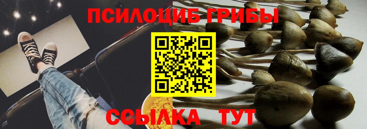 Заречный  Псилоцибиновые грибы ЛСД  Псилоцибиновые грибы MAGIC MUSHROOMS  Вход с VPN 
